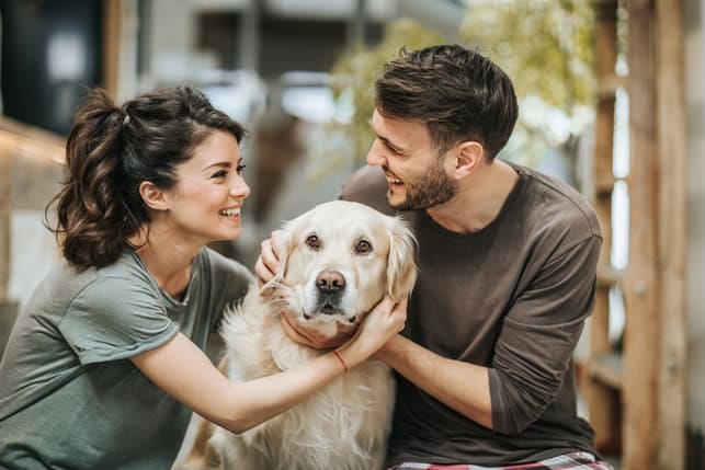 nice couple hanging out with a dog