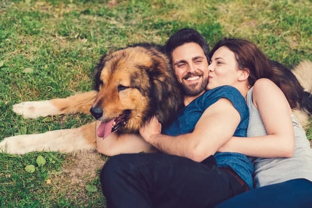 a happy couple playing with their dog